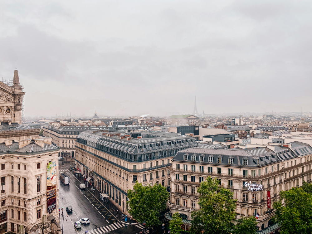 gestion des eaux pluviales à paris hamel ge